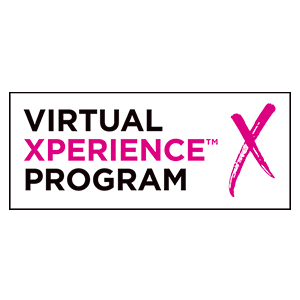 Virtual-Experience-Program